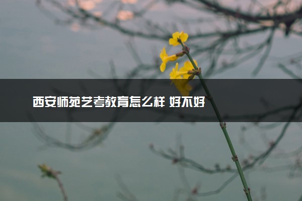 西安师苑艺考教育怎么样 好不好