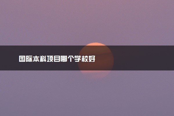 国际本科项目哪个学校好