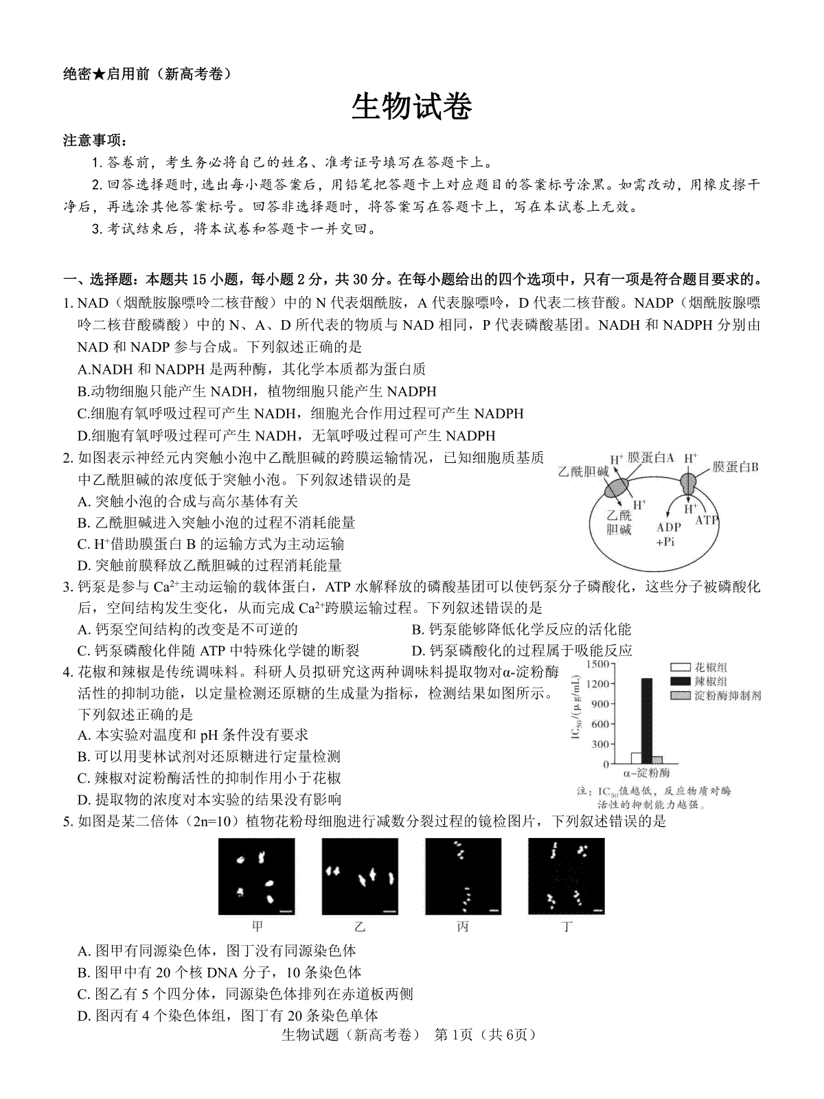 【新高考卷】名校教研联盟2024届高三2月开学考试 生物