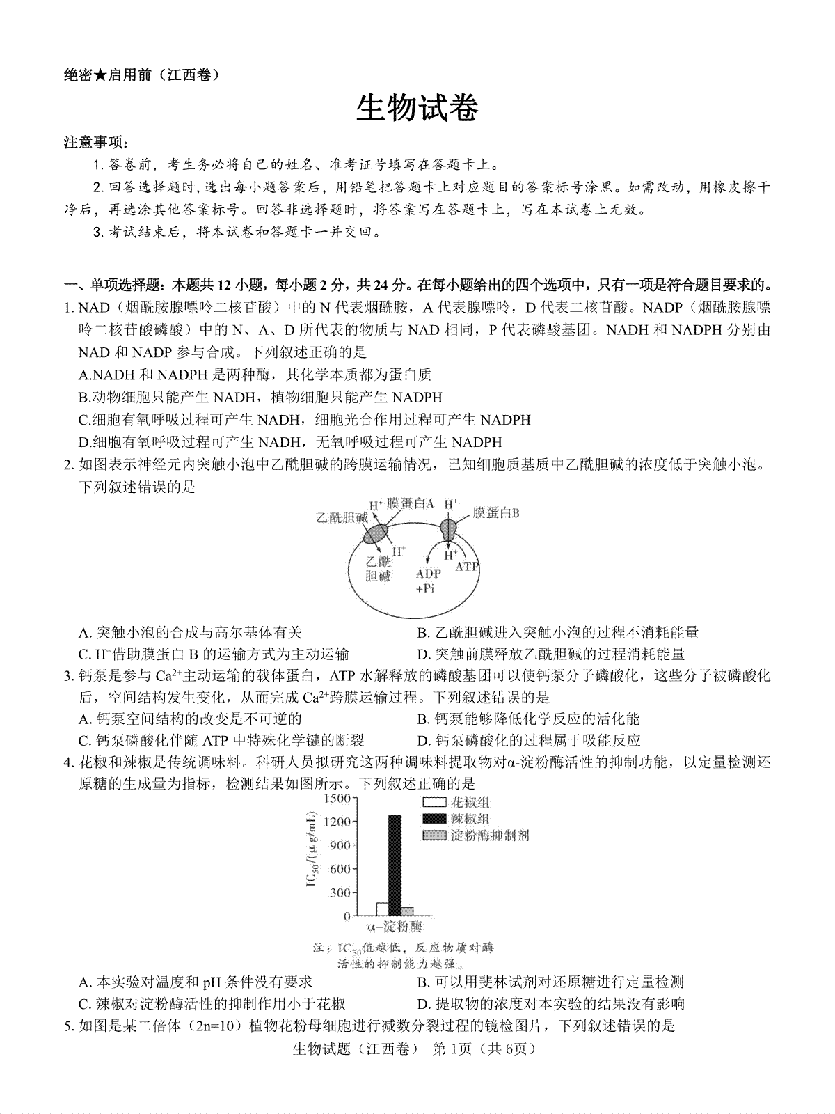 【江西卷】名校教研联盟2024届高三2月开学考试 生物