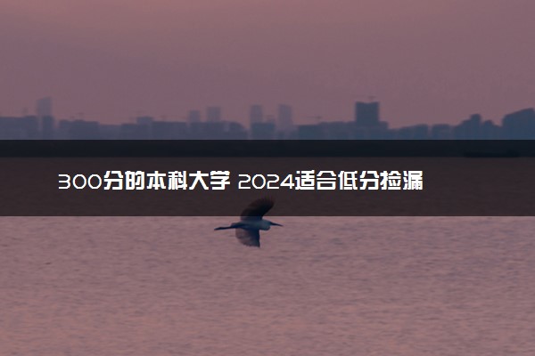 300分的本科大学 2024适合低分捡漏的院校有哪些