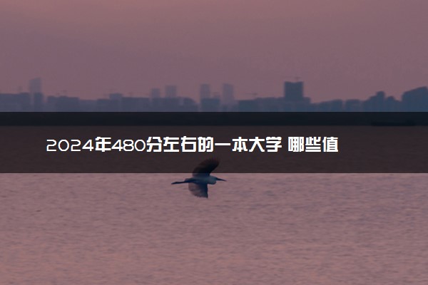 2024年480分左右的一本大学 哪些值得推荐