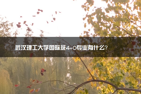 武汉理工大学国际班4+0专业有什么？