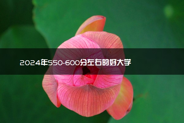 2024年550-600分左右的好大学 可以报的院校推荐