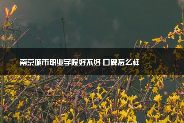 南京城市职业学院好不好 口碑怎么样