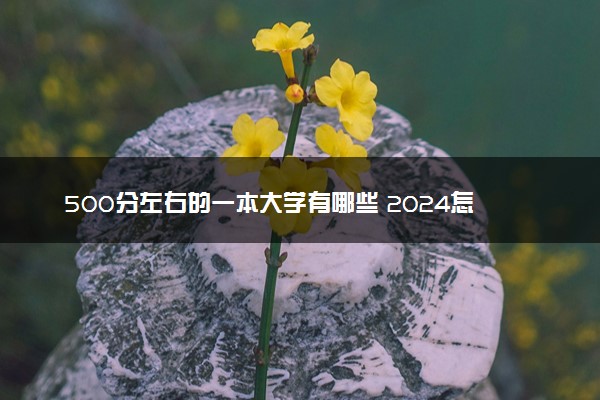 500分左右的一本大学有哪些 2024怎么报志愿