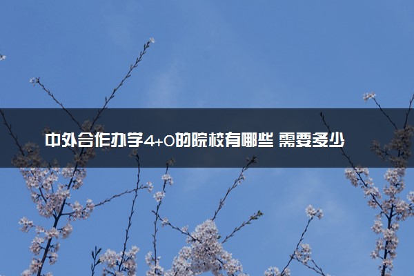 中外合作办学4+0的院校有哪些 需要多少分