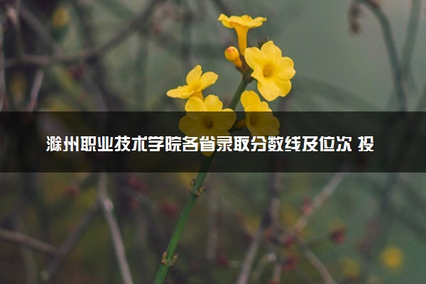 滁州职业技术学院各省录取分数线及位次 投档最低分是多少(2024年高考参考)