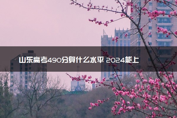 山东高考490分算什么水平 2024能上哪些大学