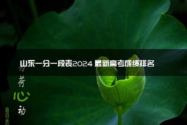 山东一分一段表2024 最新高考成绩排名