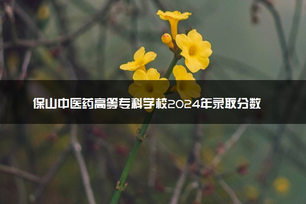 保山中医药高等专科学校2024年录取分数线 各专业录取最低分及位次