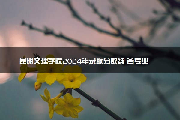 昆明文理学院2024年录取分数线 各专业录取最低分及位次