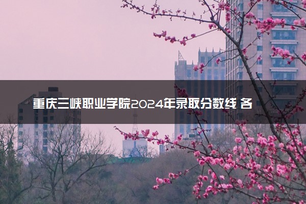 重庆三峡职业学院2024年录取分数线 各专业录取最低分及位次