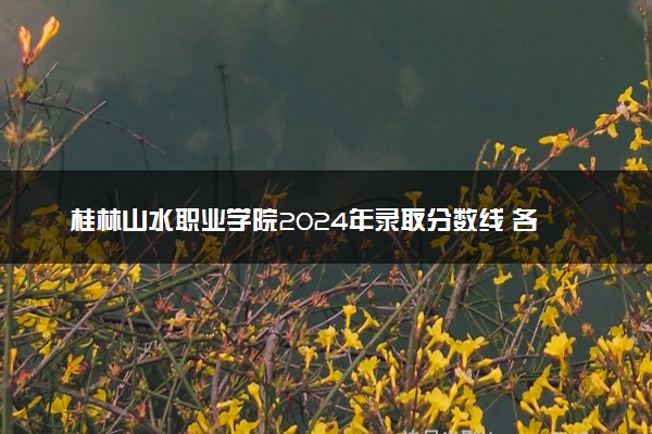 桂林山水职业学院2024年录取分数线 各专业录取最低分及位次