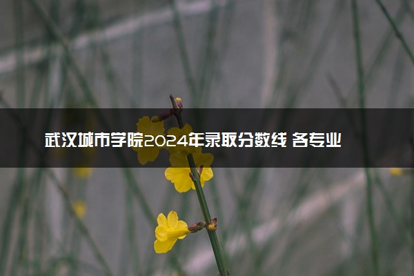 武汉城市学院2024年录取分数线 各专业录取最低分及位次