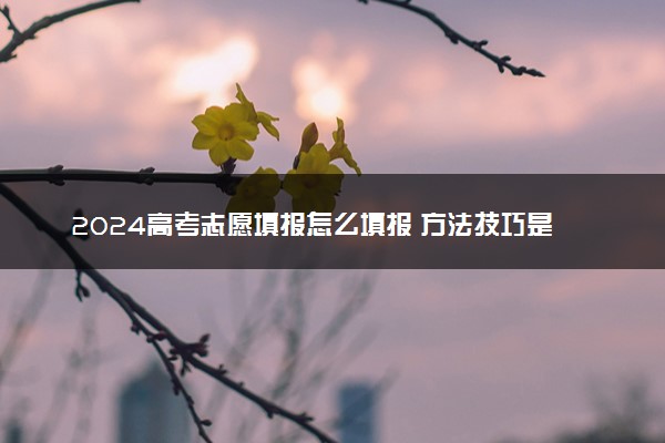 2024高考志愿填报怎么填报 方法技巧是什么