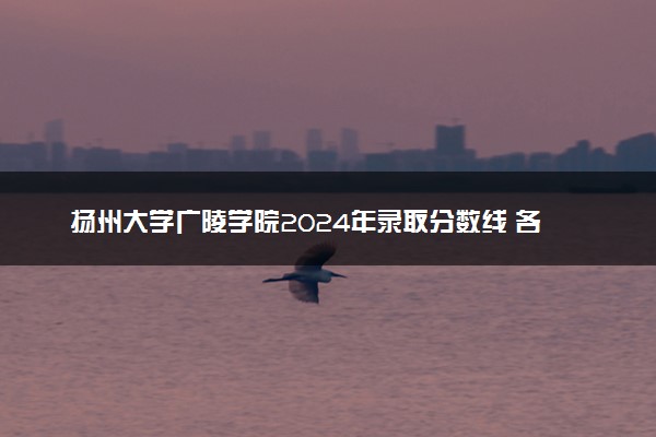 扬州大学广陵学院2024年录取分数线 各专业录取最低分及位次