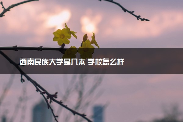 西南民族大学是几本 学校怎么样