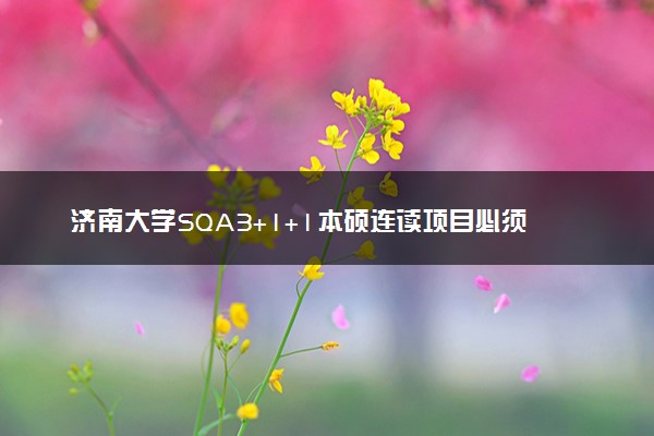 济南大学SQA3+1+1本硕连读项目必须出国吗