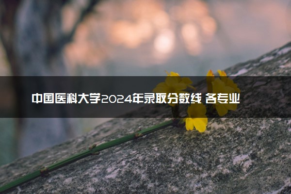 中国医科大学2024年录取分数线 各专业录取最低分及位次
