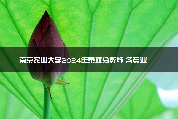 南京农业大学2024年录取分数线 各专业录取最低分及位次