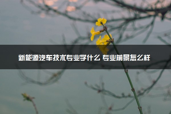 新能源汽车技术专业学什么 专业前景怎么样