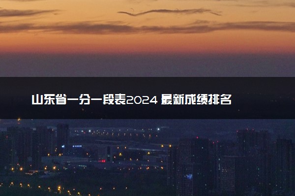 山东省一分一段表2024 最新成绩排名