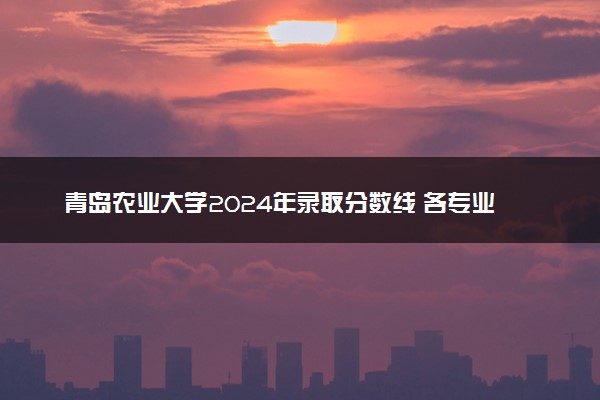 青岛农业大学2024年录取分数线 各专业录取最低分及位次
