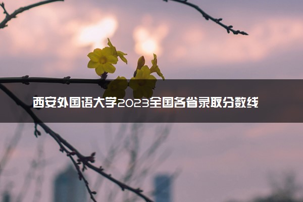 西安外国语大学2023全国各省录取分数线及最低位次 高考多少分能上