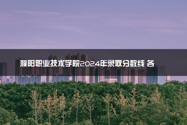 濮阳职业技术学院2024年录取分数线 各专业录取最低分及位次