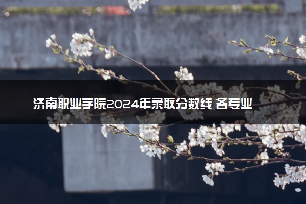 济南职业学院2024年录取分数线 各专业录取最低分及位次