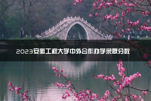 2023安徽工程大学中外合作办学录取分数线 最低多少分能上