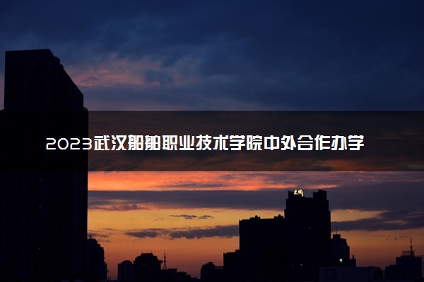 2023武汉船舶职业技术学院中外合作办学录取分数线 最低多少分能上