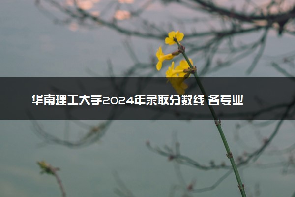 华南理工大学2024年录取分数线 各专业录取最低分及位次