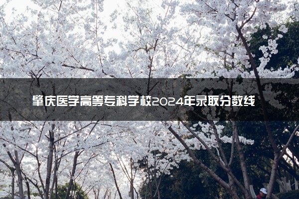 肇庆医学高等专科学校2024年录取分数线 各专业录取最低分及位次