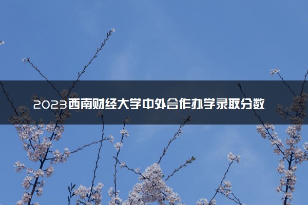 2023西南财经大学中外合作办学录取分数线 最低多少分能上