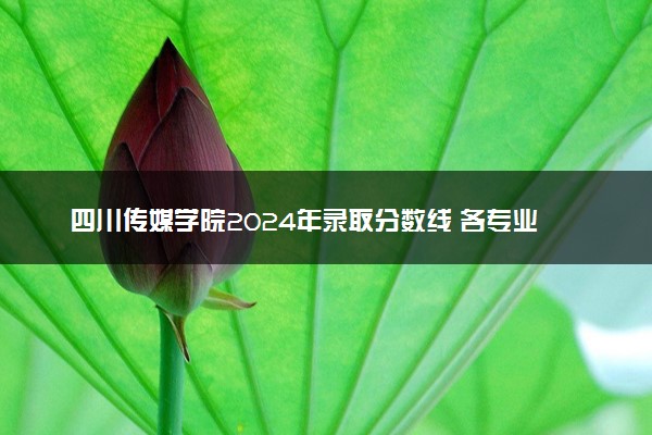 四川传媒学院2024年录取分数线 各专业录取最低分及位次