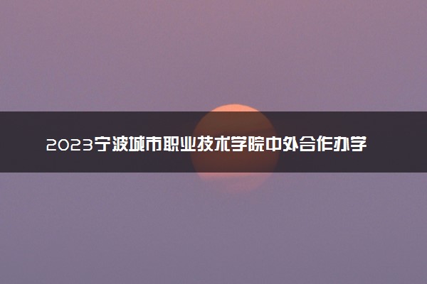 2023宁波城市职业技术学院中外合作办学录取分数线 最低多少分能上