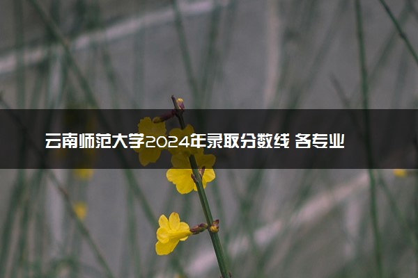 云南师范大学2024年录取分数线 各专业录取最低分及位次