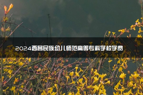 2024西昌民族幼儿师范高等专科学校学费多少钱一年 各专业收费标准