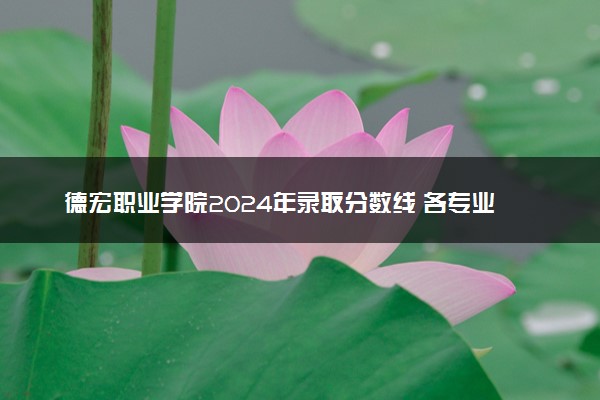 德宏职业学院2024年录取分数线 各专业录取最低分及位次