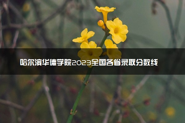 哈尔滨华德学院2023全国各省录取分数线及最低位次 高考多少分能上