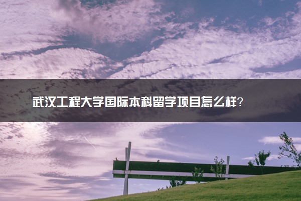 武汉工程大学国际本科留学项目怎么样？