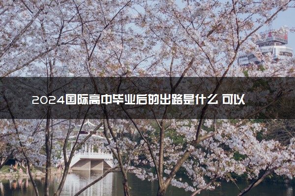 2024国际高中毕业后的出路是什么 可以考国内哪些大学