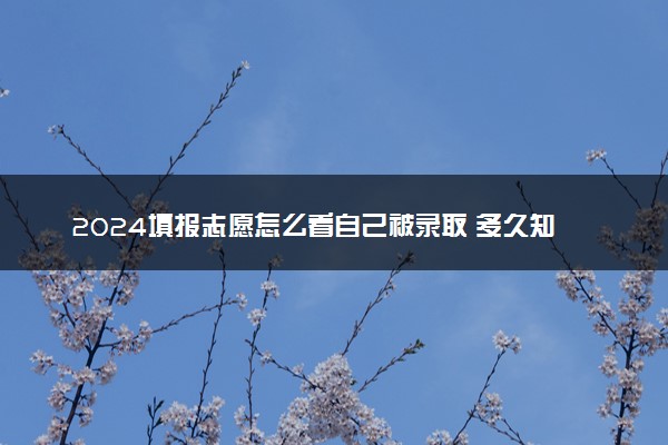 2024填报志愿怎么看自己被录取 多久知道录取