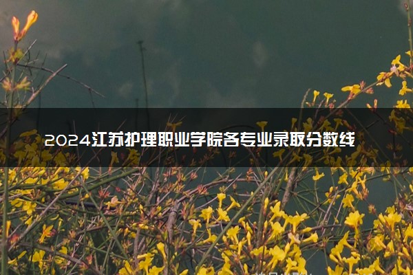 2024江苏护理职业学院各专业录取分数线及位次 各省录取最低分是多少