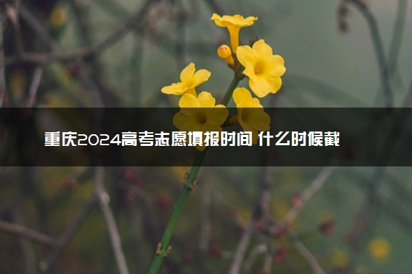 重庆2024高考志愿填报时间 什么时候截止