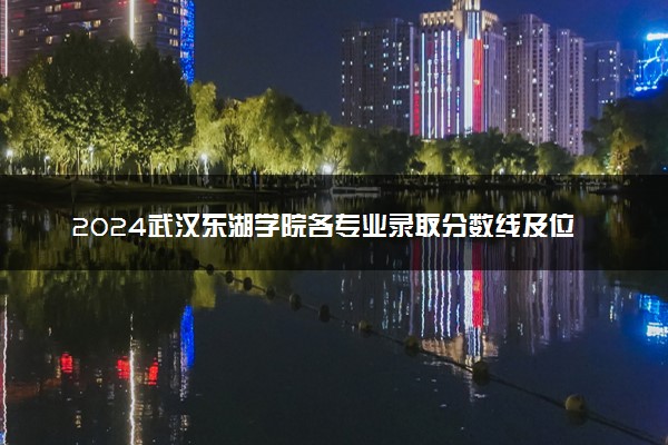 2024武汉东湖学院各专业录取分数线及位次 各省录取最低分是多少