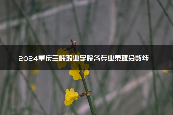 2024重庆三峡职业学院各专业录取分数线及位次 各省录取最低分是多少