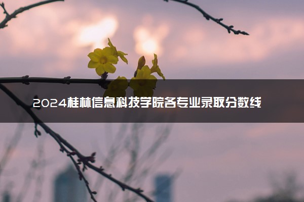 2024桂林信息科技学院各专业录取分数线及位次 各省录取最低分是多少